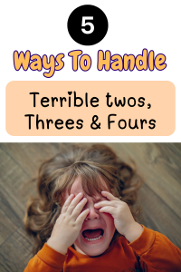 Read more about the article 5 Effective Ways to Handle Toddler Tantrums (Ages 2-4)